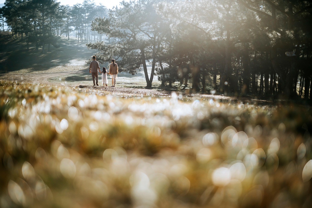 hoangdongphoto-family-6639676_1280